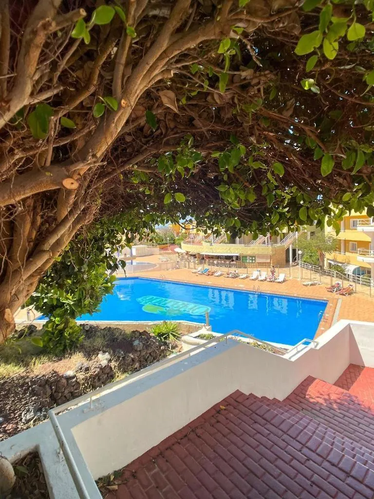 Orlando Suite Fanabe Beach Costa Adeje  Apartment Costa Adeje (Tenerife)
